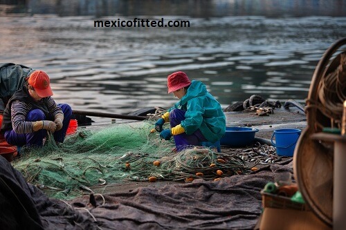 Traveling Net