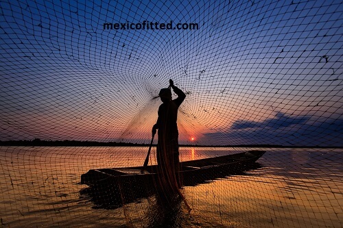 Traveling Net