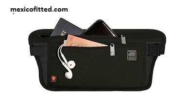 Travel Purse Passport